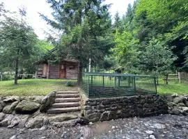 Hiška ob potočku
