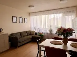 Family Comfort Home