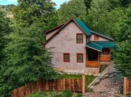 Cabana La Urși