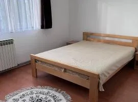 Nedzarici sobe