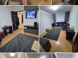 ARTIFICII București