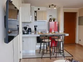 2-Bedroom, 2-Bathroom apartment in the heart of Chillán