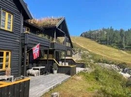 5 person holiday home in Åseral