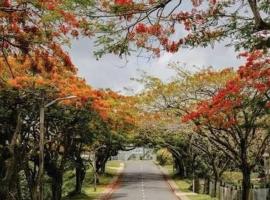 Red Palm Hotel、スバのホテル