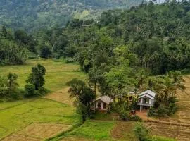 Forest & Fields Sinharaja - Nature, Raw & Refined
