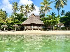 Afro Beach Safari