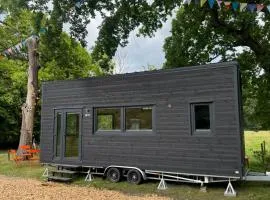 Tiny House in het groen van Domein Kiewit