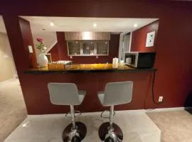Executive Bright & Cozy Basement Suit west side