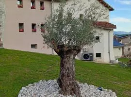 Agriturismo BORRIERO Rooms & Wellness