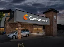 Comfort Suites Bethlehem Near Lehigh University and LVI Airport