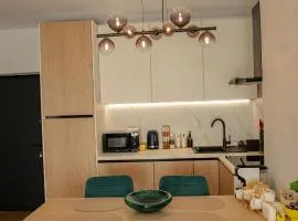 RIVER VIEW & Private Parking - Baia Mare