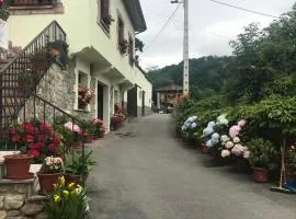 CASA EL CASTAÑÉU