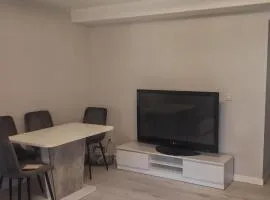 Apartament Powidz