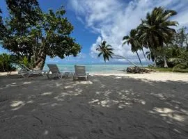VILLA VAIROARII - Garden & private beach