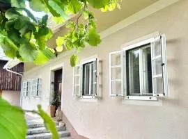 Ferienhaus Dobernik