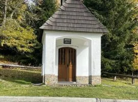 Apartmán U Brouka Javorná na Šumavě