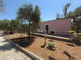 Agricampeggio Dei Nobili