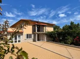 Apartments Nevenka K.