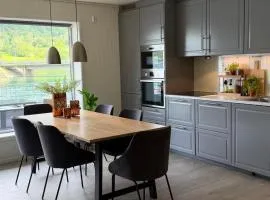 Modern lakefront apt with view - EV plug