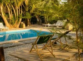Casa Rico Frade Garden