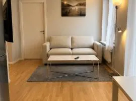 Modern lägenhet i Vasastan