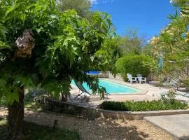 Studio dans les pins