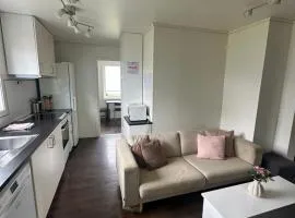 Alfred Apartment in Trondheim