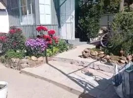 Коттедж частный сектор
