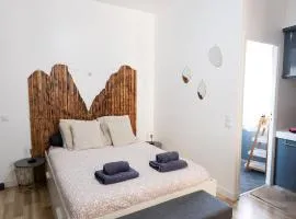 Studio vue sur le rocher