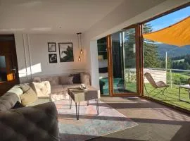 Pine apartment Vlašić