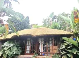 Robin's Thatch Studio- bush camp in the suburbs-sleeps 2