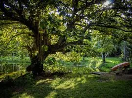 Tropical Garden Hideaway - Stonecutter
