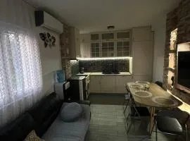 Lutovac Apartmani