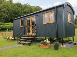 Cwtch Y Bugail 1