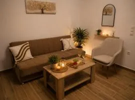Vagia Apartment