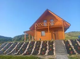 Agroturystyka Zielone Wzgórze