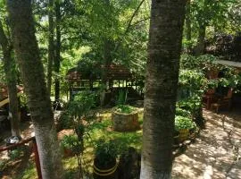 Gorna Kukja Apartments