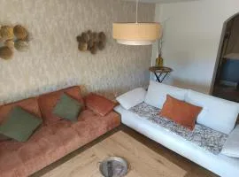 Grand appartement 80 m2 centre ville lumineux