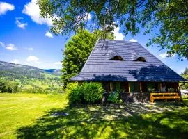 DejaView Casa Veche
