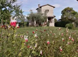 Podere Collicello, una finestra sull'Umbria!