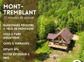 Rustic Chalet & Serenity in Mont Blanc
