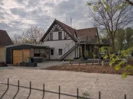 Vadvirág Villa