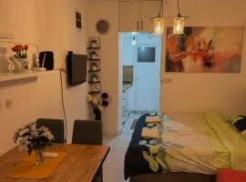 Apartman Lili