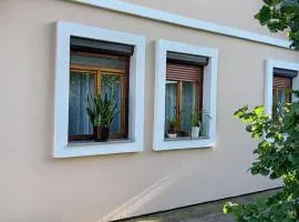 Apartman Miodrag