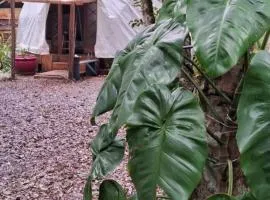 Geodésica - Quarto em meio a natureza - Caxias do Sul