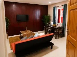 Spacious 1-BR Studio with Fast WIFI l Work-Friendly Stay