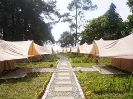 Kabut Pinus Comfort Camp