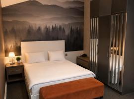 Central City Department Hotel, hotel en Baku