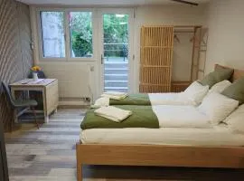 O&D Guest Room
