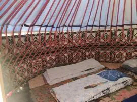 YurtCampKutman